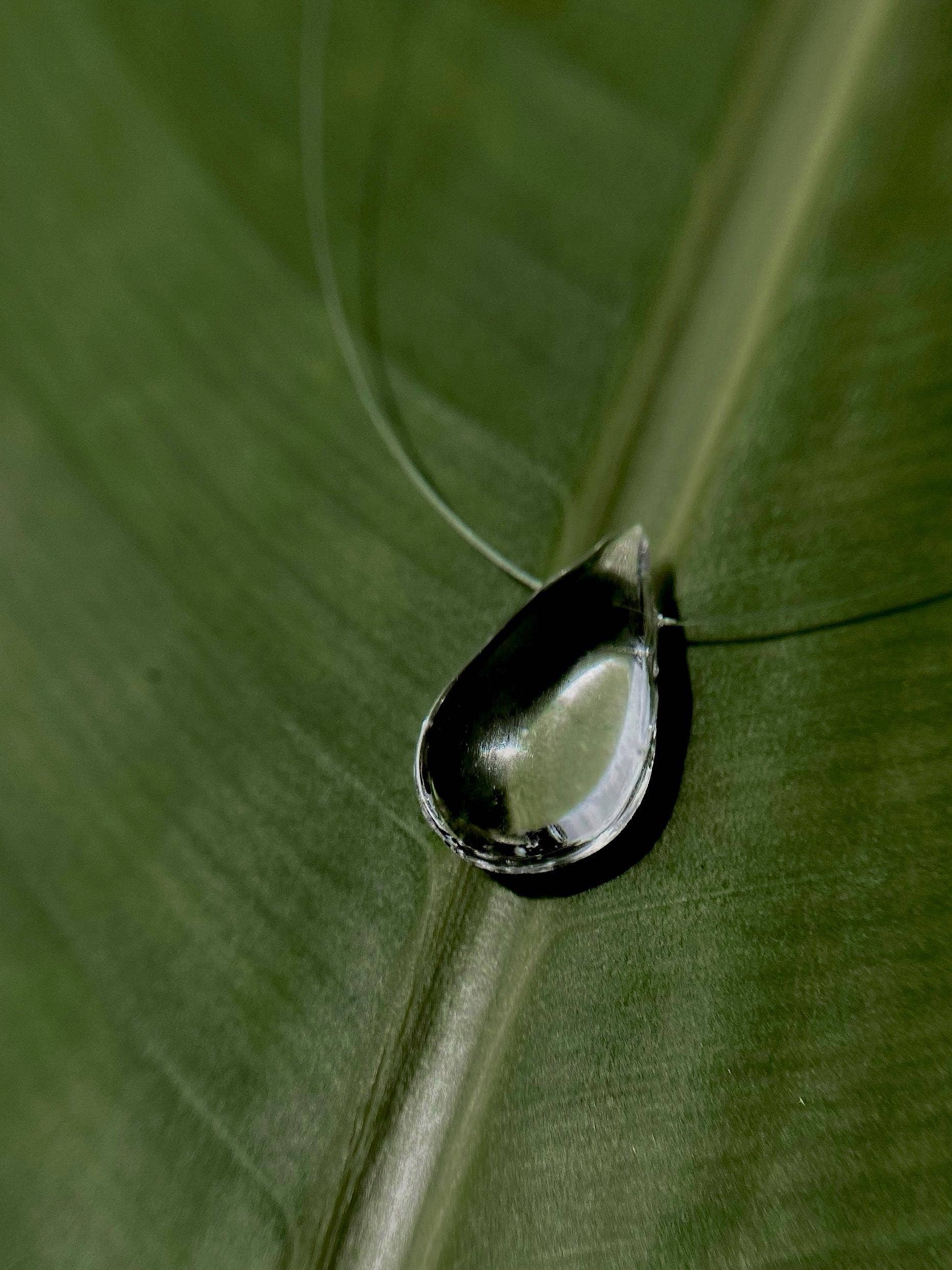 Clear Dew Drop Necklace