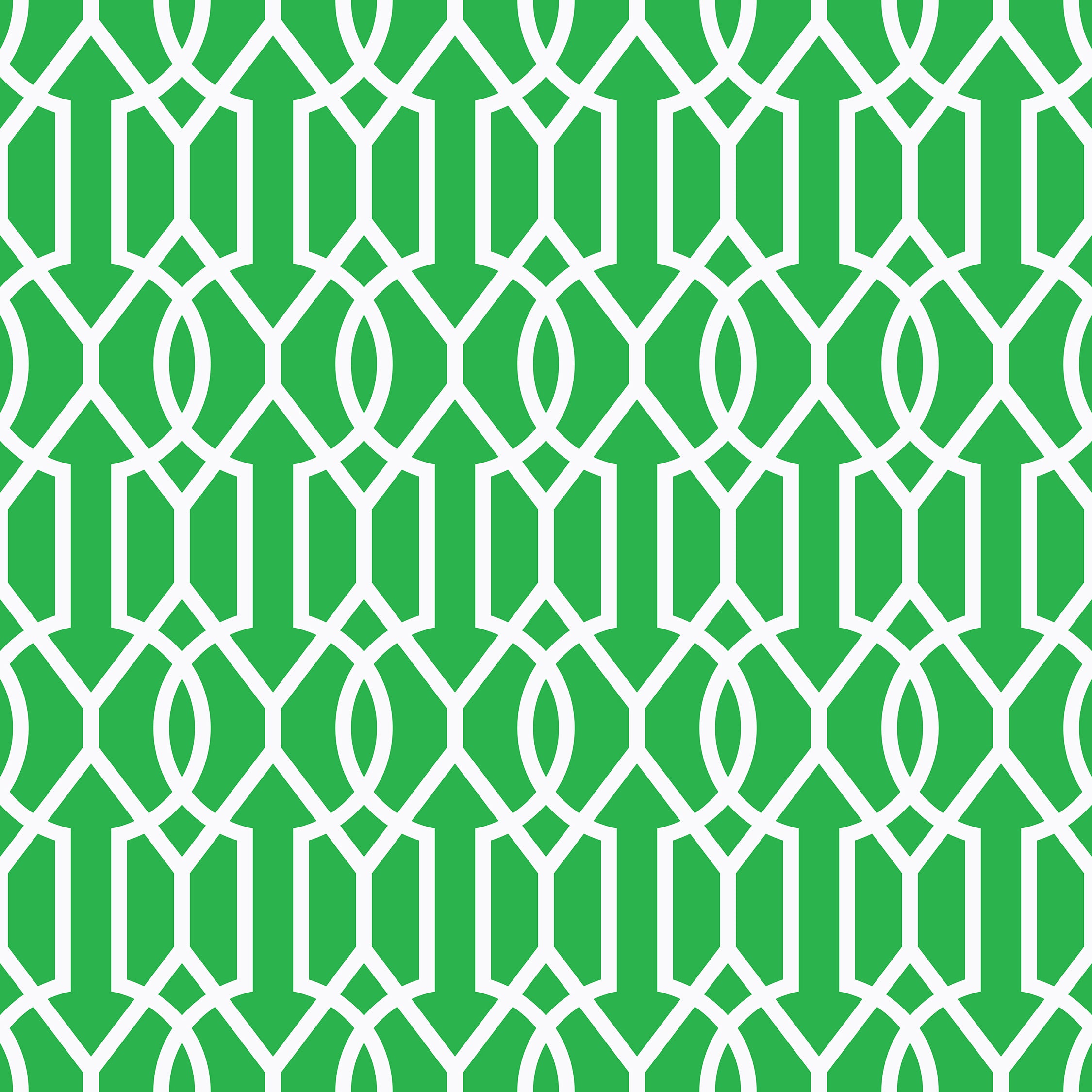 Kiawah Country Club Skort in Cupid's Arrow Shamrock and White