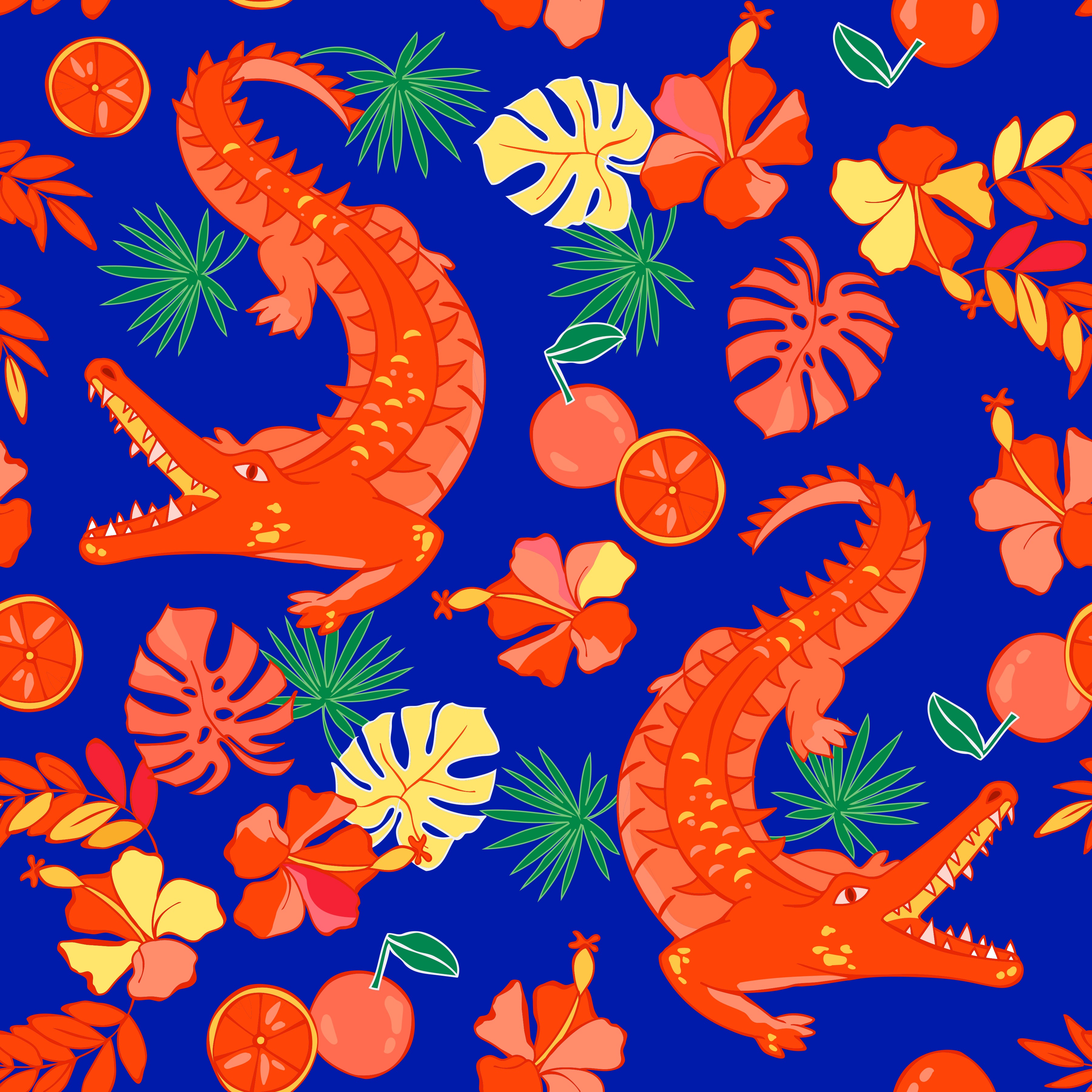 Hyannis Tee Shirt Dress in Game Time Gators