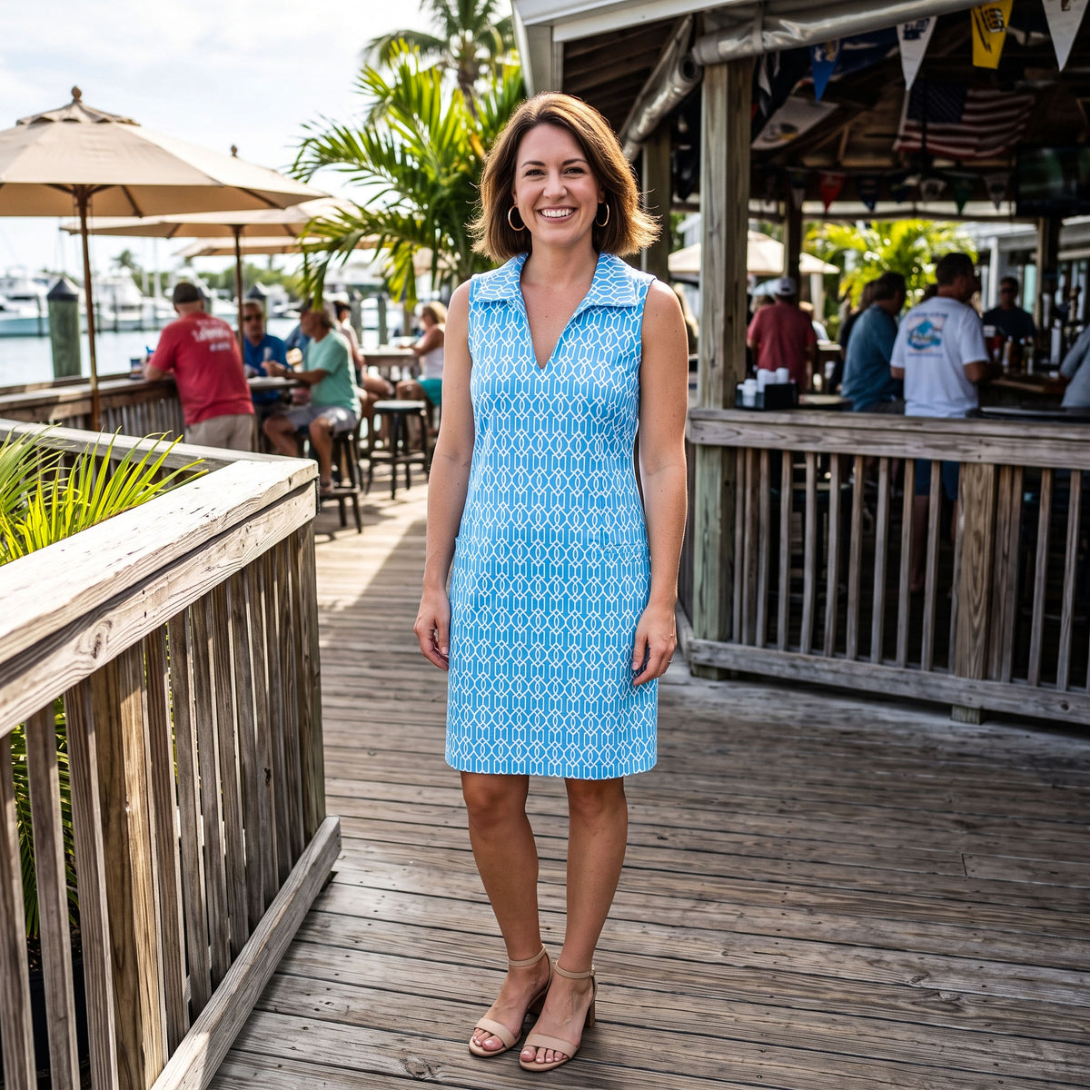 St. Regis Dress in Cupid's Arrow Blue and White